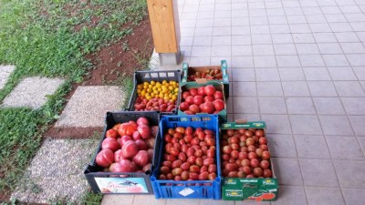 179.jpg (119.25 KiB) Osservato 692 volte 179.jpg