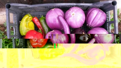 180.jpg (96.4 KiB) Osservato 684 volte 180.jpg