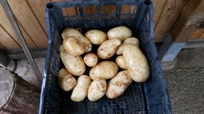 181.jpg (85.25 KiB) Osservato 684 volte 181.jpg