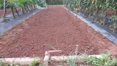 182.jpg (149.31 KiB) Osservato 684 volte 182.jpg