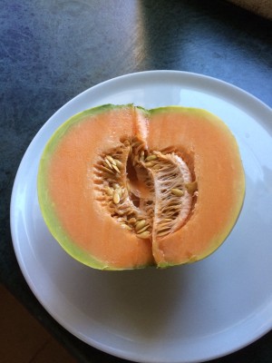 17.07.17 018.JPG (168.7 KiB) Osservato 684 volte 17.07.17 018.JPG