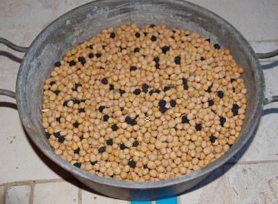 342.JPG (264.4 KiB) Osservato 628 volte 342.JPG