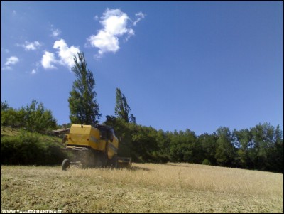 16072017trebbiatura-ceci.jpg (160.04 KiB) Osservato 571 volte 16072017trebbiatura-ceci.jpg