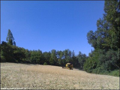 16072017trebbiatura-ceci2.jpg (169.86 KiB) Osservato 571 volte 16072017trebbiatura-ceci2.jpg