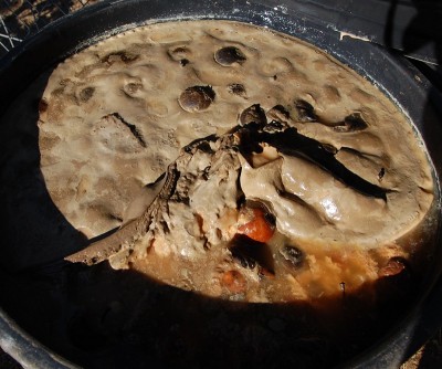 Elaeagnus rhamnoides (2).JPG (236.5 KiB) Osservato 592 volte Elaeagnus rhamnoides (2).JPG