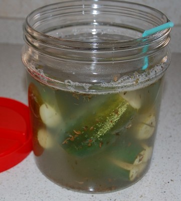 Elaeagnus rhamnoides (3).JPG (179.91 KiB) Osservato 592 volte Elaeagnus rhamnoides (3).JPG