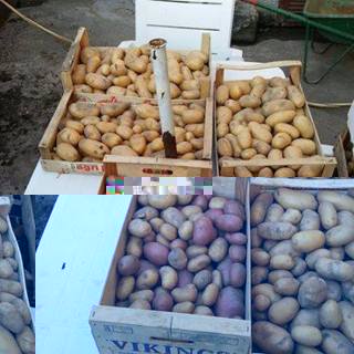 20032075_1439036846184423_8035513174346317779_n (FILEminimizer).jpg 20032075_1439036846184423_8035513174346317779_n (FILEminimizer).jpg