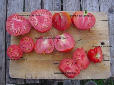 pomodoritagliati.JPG (186.56 KiB) Osservato 601 volte pomodoritagliati.JPG