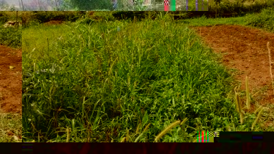 183.jpg (186 KiB) Osservato 516 volte 183.jpg