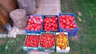 184.jpg (116.53 KiB) Osservato 516 volte 184.jpg