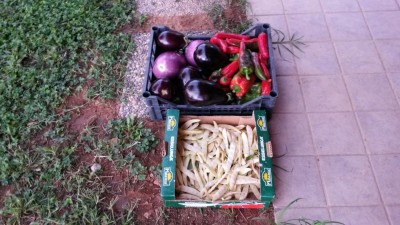 185.jpg (113.58 KiB) Osservato 516 volte 185.jpg