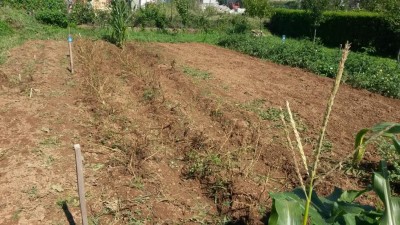 187.jpg (165.59 KiB) Osservato 877 volte 187.jpg