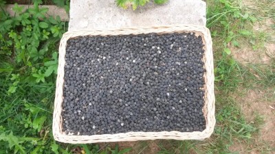 189.jpg (142.03 KiB) Osservato 786 volte 189.jpg