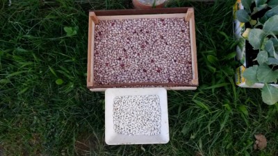 191.jpg (112.76 KiB) Osservato 789 volte 191.jpg