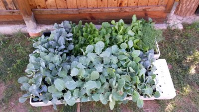 192.jpg (111.5 KiB) Osservato 687 volte 192.jpg