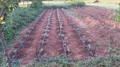 193.jpg (145.25 KiB) Osservato 690 volte 193.jpg