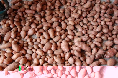 359.JPG (279.28 KiB) Osservato 629 volte 359.JPG