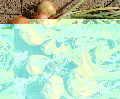 363.JPG (352.04 KiB) Osservato 622 volte 363.JPG