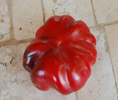 365.JPG (160.31 KiB) Osservato 622 volte 365.JPG