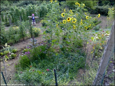 22072017panoramica.jpg (317.11 KiB) Osservato 524 volte 22072017panoramica.jpg