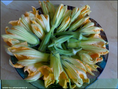 22072017fiori-zucca-okra.jpg (199.5 KiB) Osservato 522 volte 22072017fiori-zucca-okra.jpg