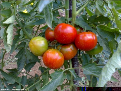 28072017optima.jpg (209.73 KiB) Osservato 520 volte 28072017optima.jpg