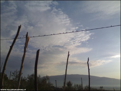 30072017uccelli.jpg (110.33 KiB) Osservato 517 volte 30072017uccelli.jpg