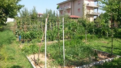 196.jpg (176.77 KiB) Osservato 651 volte 196.jpg