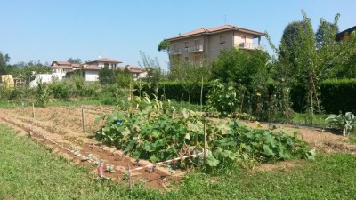 197.jpg (140.22 KiB) Osservato 651 volte 197.jpg