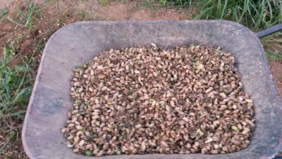 200.jpg (113.15 KiB) Osservato 649 volte 200.jpg