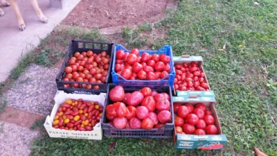 201.jpg (115.22 KiB) Osservato 649 volte 201.jpg