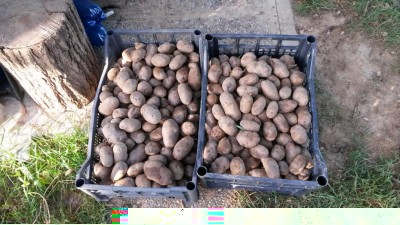 202.jpg (142 KiB) Osservato 649 volte 202.jpg