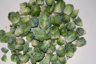 369.JPG (206.89 KiB) Osservato 795 volte 369.JPG