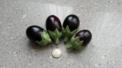 207.jpg (76.99 KiB) Osservato 819 volte 207.jpg