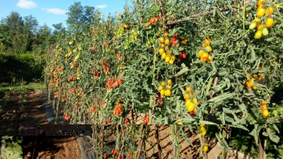 208.jpg (188.35 KiB) Osservato 763 volte 208.jpg