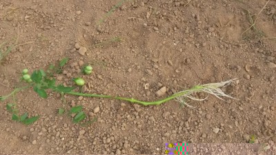 210.jpg (147.82 KiB) Osservato 763 volte 210.jpg