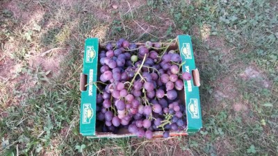 211.jpg (159.69 KiB) Osservato 763 volte 211.jpg