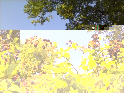 02082017more.jpg (275.04 KiB) Osservato 535 volte 02082017more.jpg