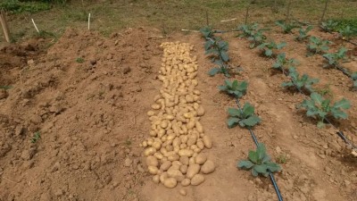 212.jpg (123.86 KiB) Osservato 677 volte 212.jpg