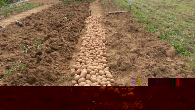 213.jpg (148.82 KiB) Osservato 677 volte 213.jpg