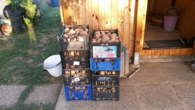 214.jpg (106.29 KiB) Osservato 677 volte 214.jpg