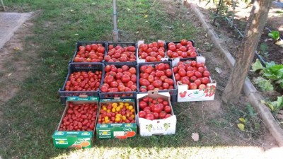 215.jpg (123.23 KiB) Osservato 677 volte 215.jpg