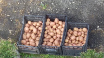 20170829_144345.jpg (74.4 KiB) Osservato 750 volte 20170829_144345.jpg