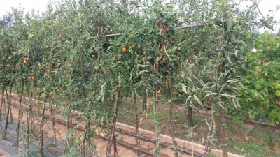 220.jpg (160.34 KiB) Osservato 581 volte 220.jpg