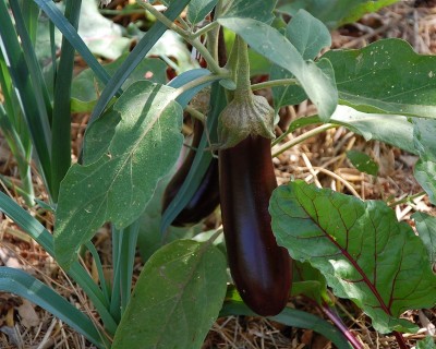 371.JPG (243.42 KiB) Osservato 541 volte 371.JPG