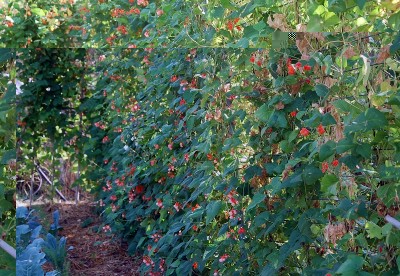 373.JPG (339.21 KiB) Osservato 541 volte 373.JPG