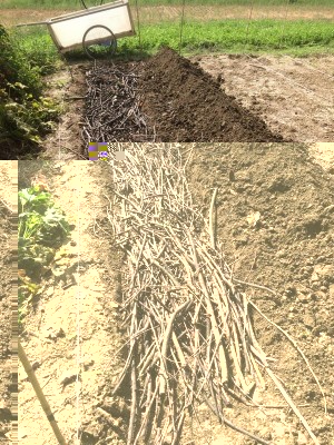 03.09.17 048.JPG (179.42 KiB) Osservato 747 volte 03.09.17 048.JPG