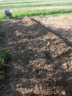 03.09.17 052.JPG (207.33 KiB) Osservato 747 volte 03.09.17 052.JPG