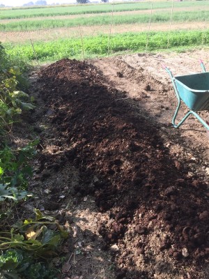 03.09.17 066.JPG (328.62 KiB) Osservato 749 volte 03.09.17 066.JPG