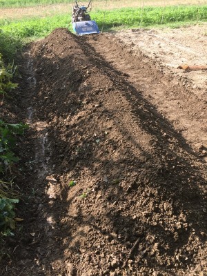 03.09.17 068.JPG (373.4 KiB) Osservato 718 volte 03.09.17 068.JPG